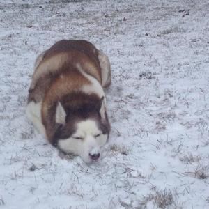 Meet your Posher, Jamie